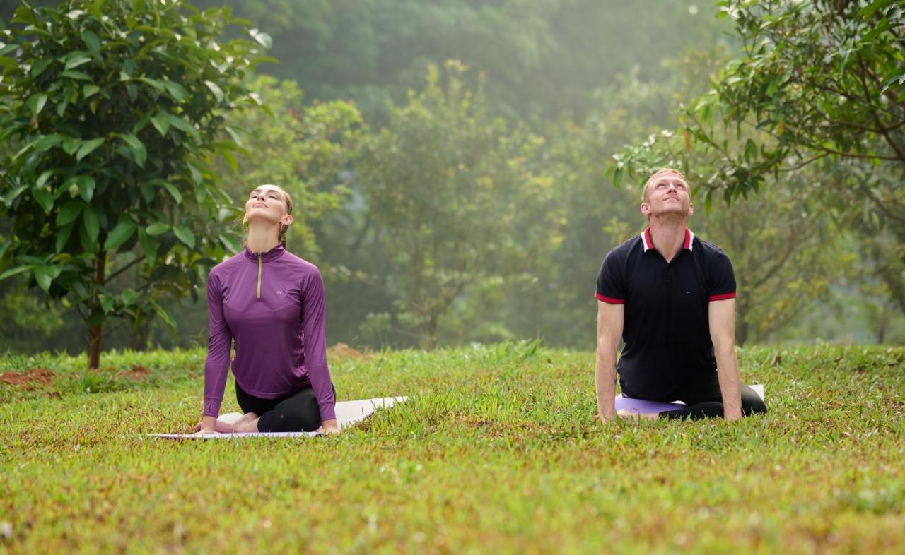 Tigris Valley Holistic Wellness Resort Vallikavungal Dış mekan fotoğraf